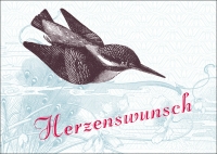 105 Herzenswunsch Eisvogel