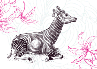 127 Okapi