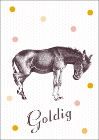 29 Goldig