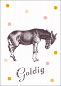 29 Goldig