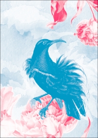 073 Paradiesisch